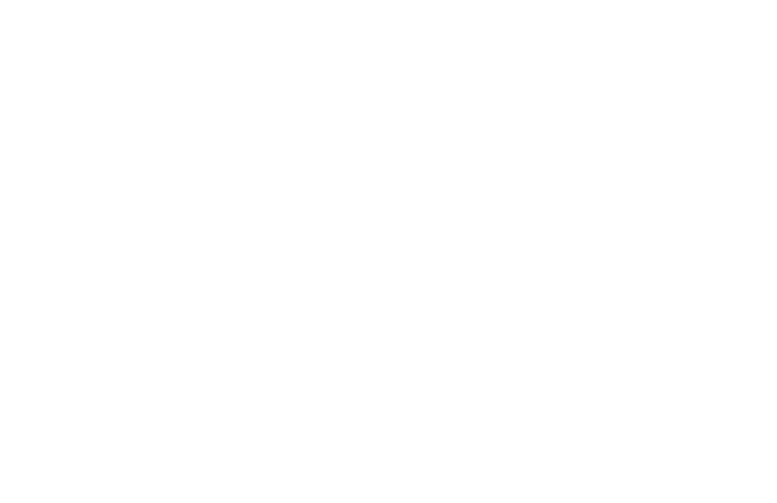 David Hertig VVS ApS